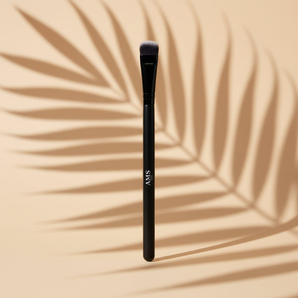AMS Brush – Fond beige chaud, ombres palmier