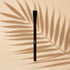 AMS Brush – Fond beige chaud, ombres palmier